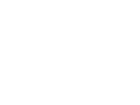 logo-toro