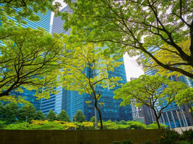 Green,Trees,Growing,In,Front,Of,Modern,Buildings,In,Sustainable Green,Trees,Growing,In,Front,Of,Modern,Buildings,In,Sustainable